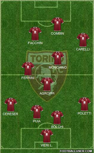 Torino Formation 2021