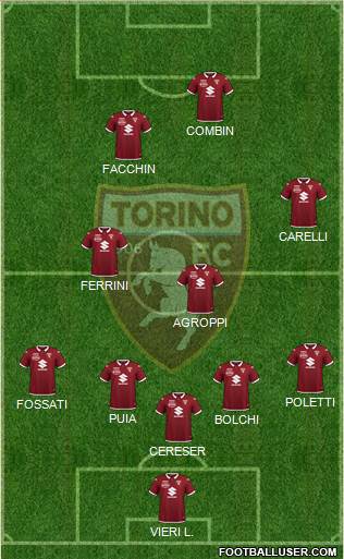 Torino Formation 2021