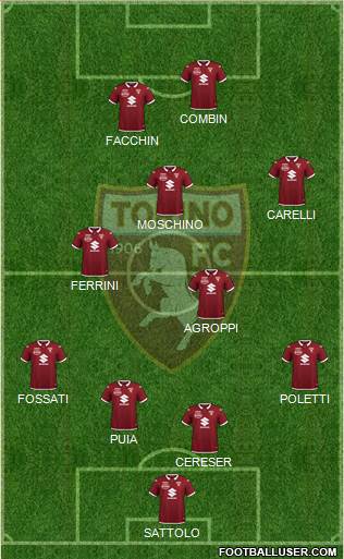 Torino Formation 2021