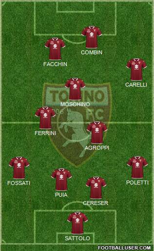 Torino Formation 2021