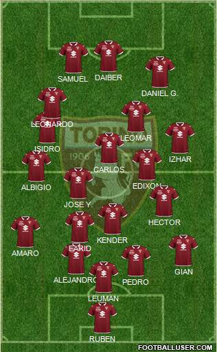 Torino Formation 2021