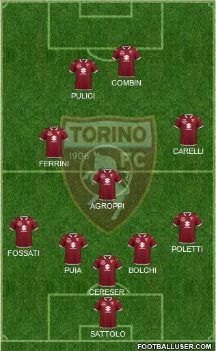 Torino Formation 2021