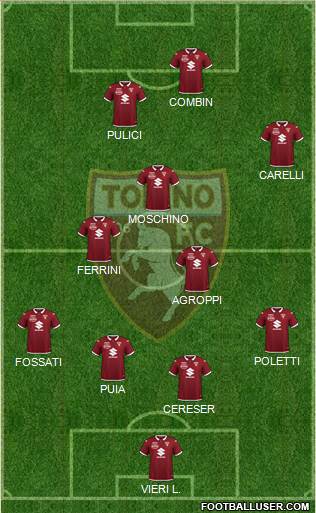 Torino Formation 2021