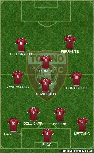 Torino Formation 2021