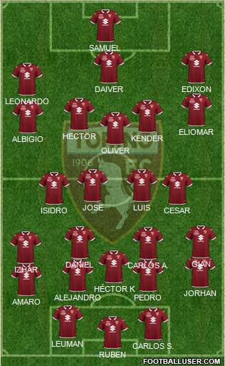 Torino Formation 2021