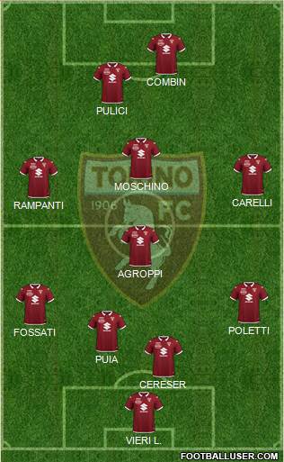 Torino Formation 2021