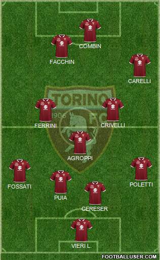 Torino Formation 2021