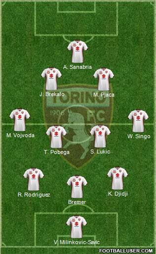 Torino Formation 2021