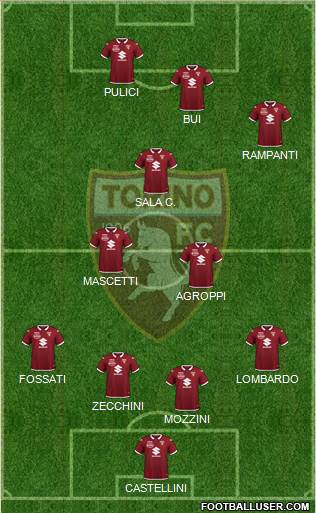 Torino Formation 2022