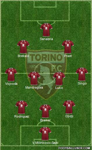 Torino Formation 2022