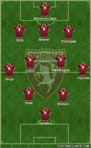 Torino Formation 2022