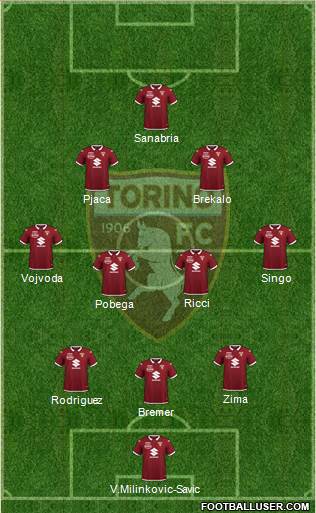 Torino Formation 2022