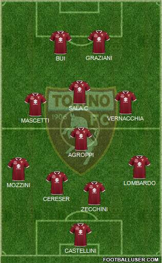 Torino Formation 2022