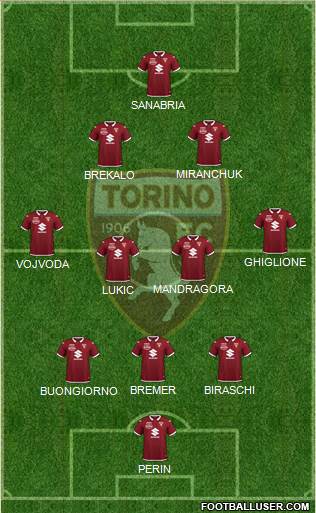 Torino Formation 2022