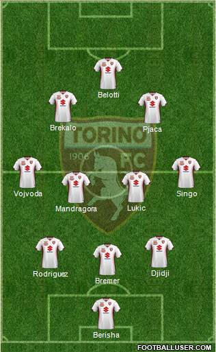 Torino Formation 2022