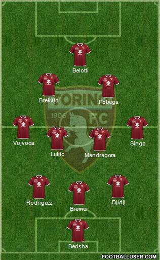 Torino Formation 2022