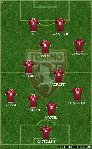 Torino Formation 2022