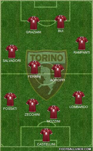 Torino Formation 2022