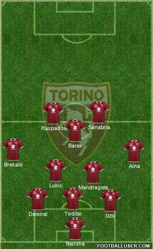 Torino Formation 2022