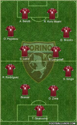 Torino Formation 2022