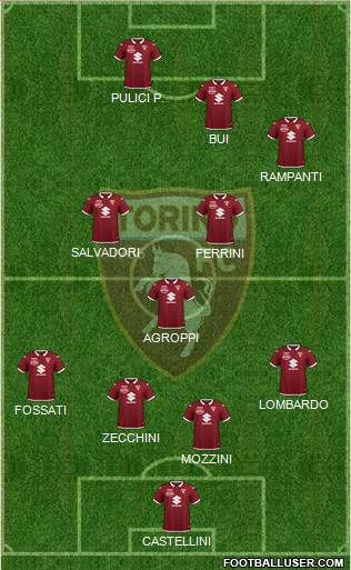 Torino Formation 2022