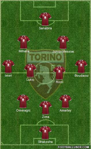 Torino Formation 2022