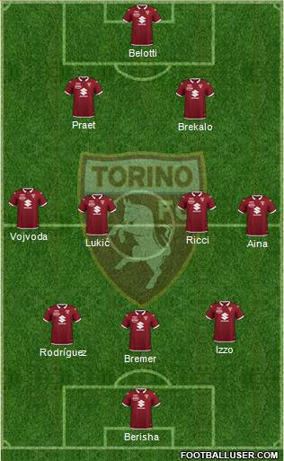 Torino Formation 2022