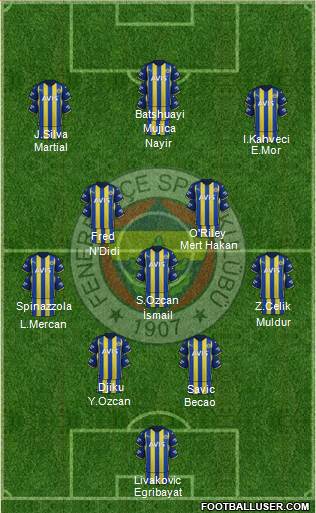 Fenerbahçe SK Formation 2024