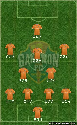 Gangwon FC Formation 2024