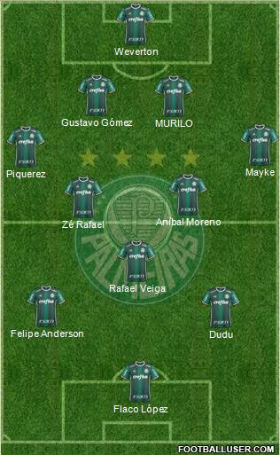SE Palmeiras Formation 2024