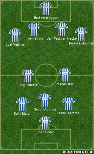 Brighton and Hove Albion Formation 2024